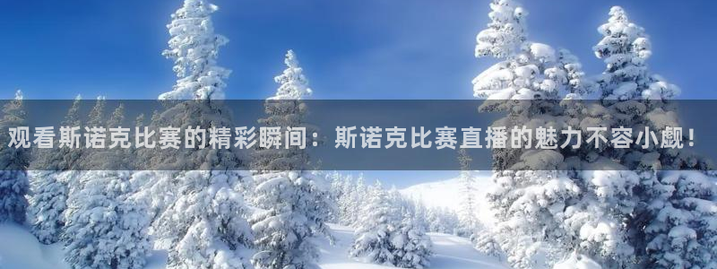 观看斯诺克比赛的精彩瞬间：斯诺克比赛直播的魅力不容小觑！