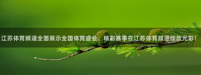江苏体育频道全面展示全国体育盛会，精彩赛事在江苏体育频道绽放光彩！